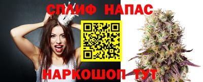 прущие грибы Жуковский