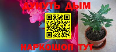 прущие грибы Жуковский