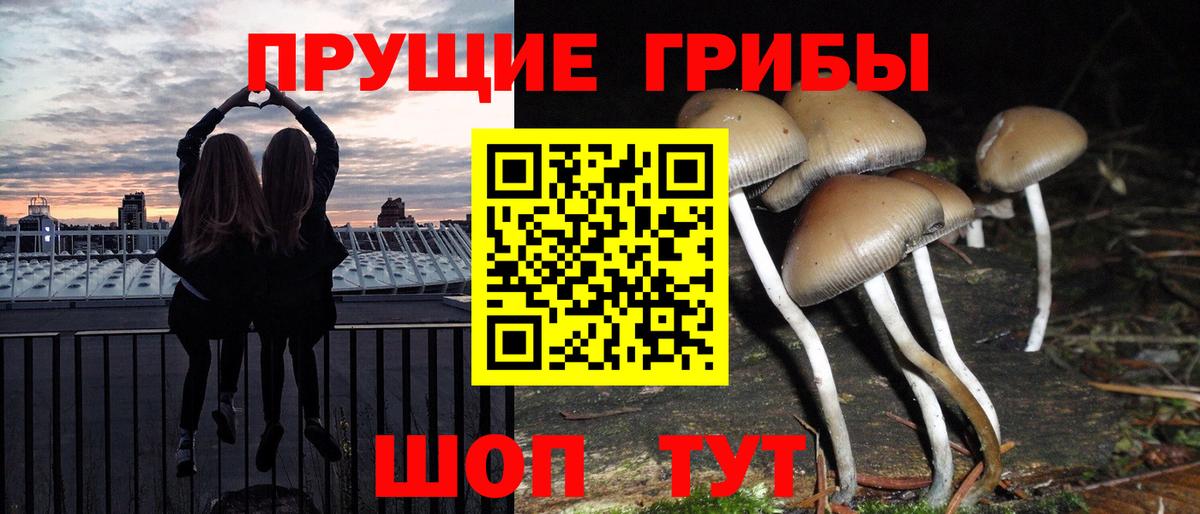 Галлюциногенные грибы MAGIC MUSHROOMS Назрань