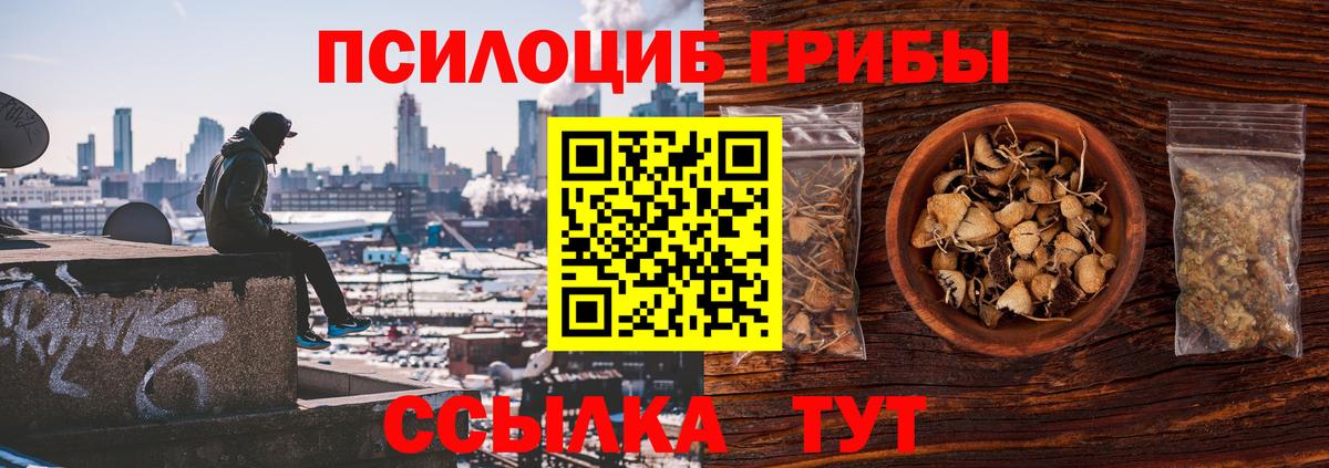 где купить наркоту  Вход с VPN  Назрань  Псилоцибиновые грибы Psilocybine cubensis 