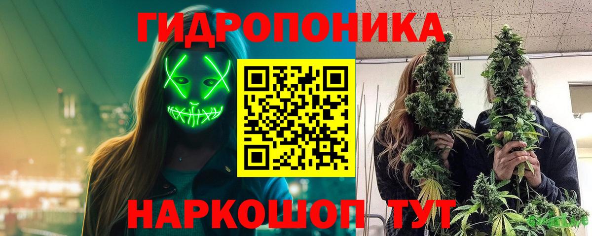Назрань  Бошки Шишки LSD WEED  Вход с VPN  Марихуана план 